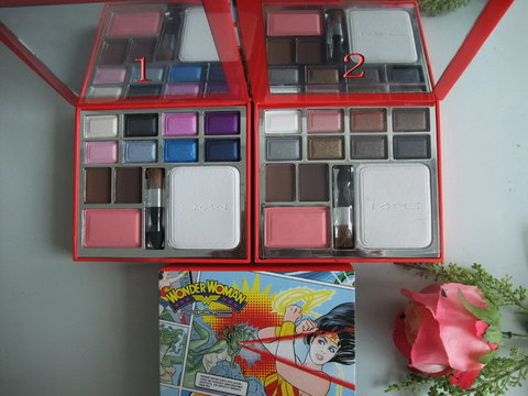 Mac Cosmetics Store Eyeshadow Palettes 10 Color & blusher